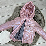 Демісезонна куртка для дівчинки 1-14 років весна осінь Дитяча Осіння курточка для підлітків Пудра 74-80, фото 3