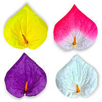 Калла велика атлас, 14 см