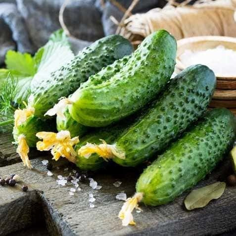 Насіння огірка Корвета F1, 100 насіння — бджолинозапальний, ранній гібрид (45-48 днів), АгроПак