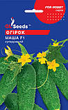 Насіння огірок Маша корнішон F1 (8 шт) партенокарпік ранній самозапильний, For Hobby, TM GL Seeds, фото 2