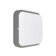 Світильник LED Violux ДББ POLO UA сірий 12W 5000K IP54