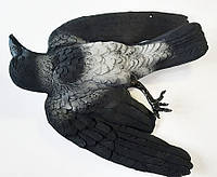 МУЛЯЖ МЕРТВОГО ВОРОНА