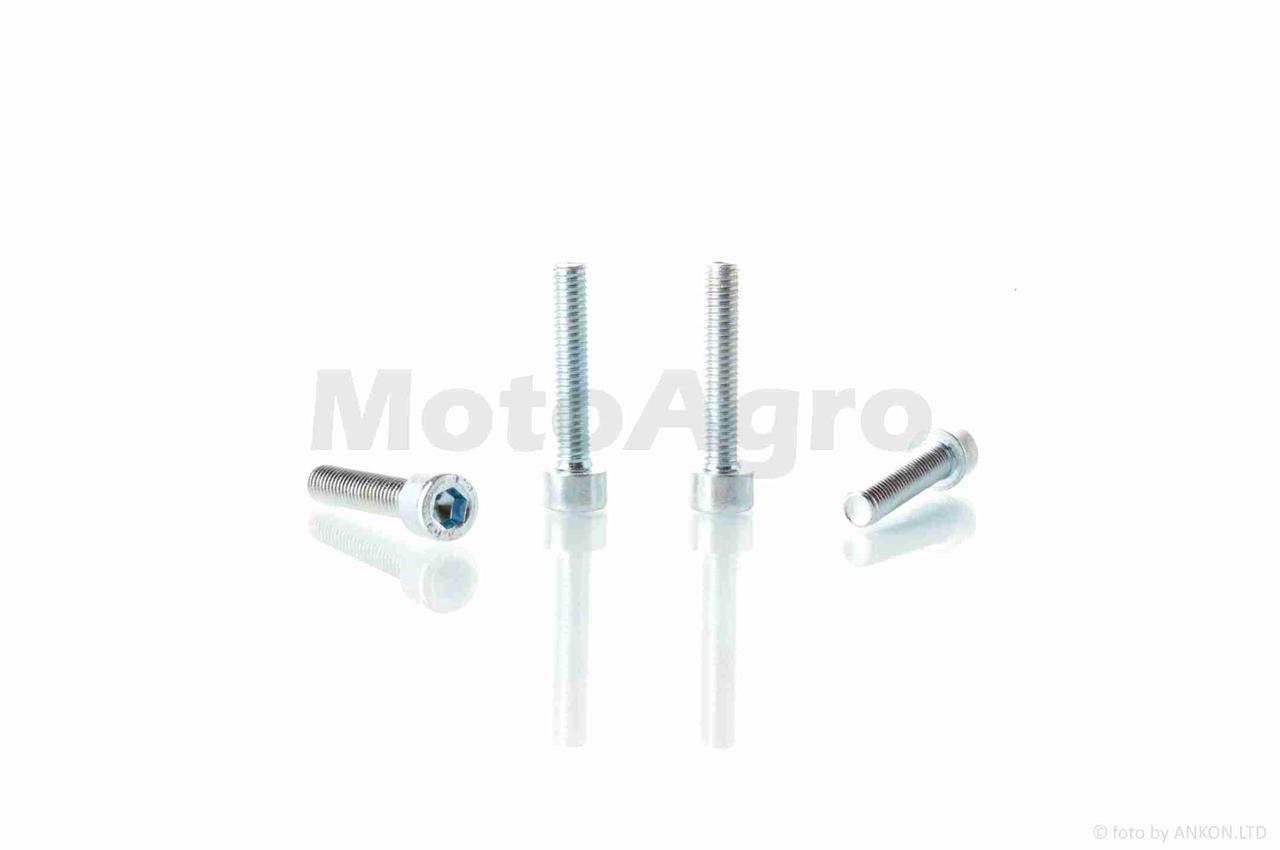 Болти кришки варіатора к-кт на скутер сузукі летс (4шт під шестигранник), фото 1