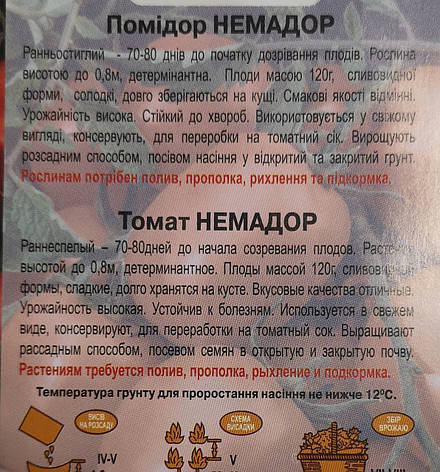 Помідор Немадор 0.1г, фото 3