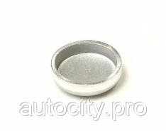 Заглушка головки блоку 96180732 (D=20, Ланос), фото 1