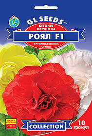 Бегонія Роял F1 насіння (10 шт) суміш махрова Collection, TM GL Seeds