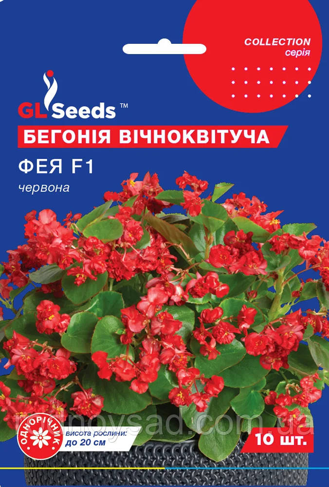Бегонія Фея червона насіння (10 шт) вічноквітуча Collection, TM GL Seeds