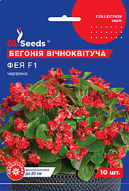 Бегонія Фея червона насіння (10 шт) вічноквітуча Collection, TM GL Seeds