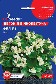 Бегонія Фея біла насіння (10 шт) вічноквітуча Collection, TM GL Seeds