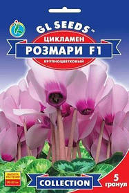 Цикламен Розмарі насіння (5 шт) фіолетовий крупноквітковий багаторічний Collection, TM GL Seeds