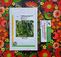 Насіння огірка Рубінштейн F1 (Rijk Zwaan), 50 насінин ―  партенокарпік, ранній гібрид (35-38 днів), корнішон