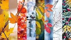 Як ювелірна біжутерія Xuping підходить для різних сезонів?