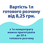 Миючий засіб для скла і дзеркал, концентрат Industry-3 (1.05 кг), фото 3