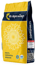 Насіння соняшника НС Х 8005 під гранстар G+ рас