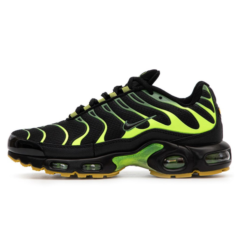 Чоловічі кросівки Nike Air Max Plus Black Green DM0032-010 TN, чорно-зелені найк аір макс плюс тн