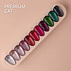 Гель-лак Nice for you Premium Cat №101 Срібло 8.5 г, фото 5