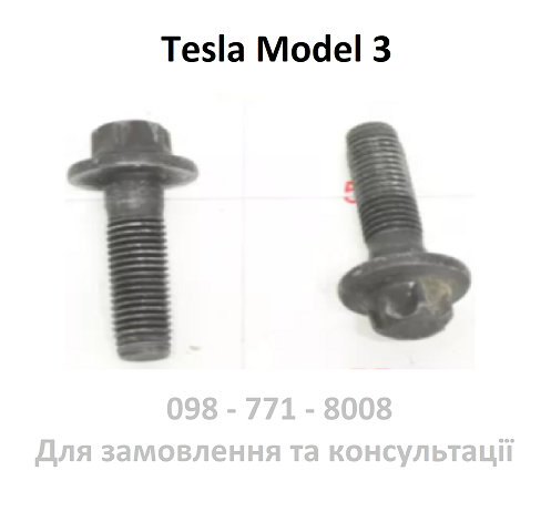 Болт кріплення гальмівного супорта передній Tesla Model 3 (1088969-00-B)