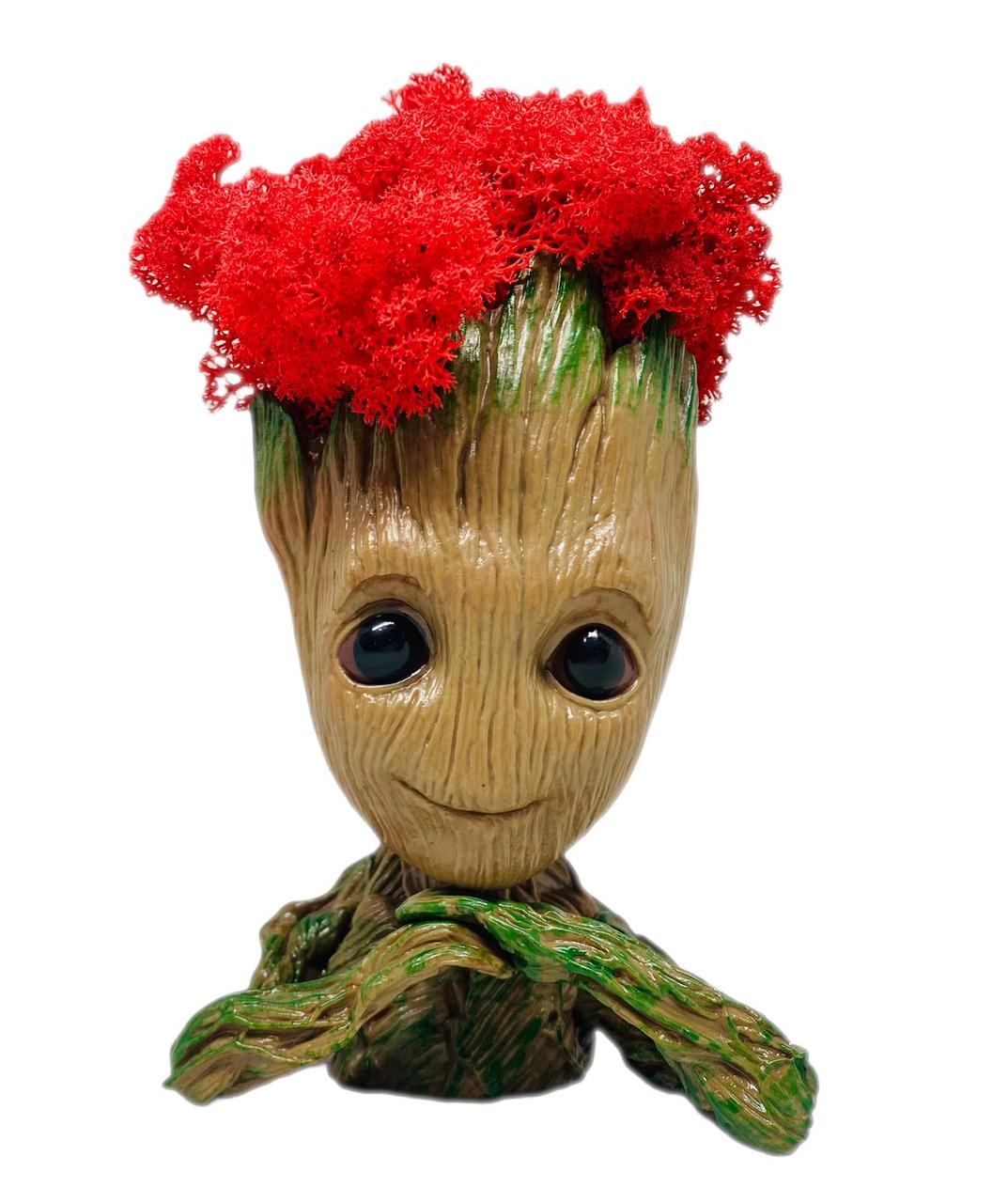 Кашпо з червоним стабілізованим мохом Грут G3