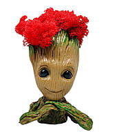 Кашпо з червоним стабілізованим мохом Грут G3