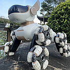 Трюковий робот собака на пульті управління, USB, DWI Robot / Іграшка робот пес / Інтерактивна собака робот, фото 8