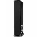 Definitive Technology Demand D15 Black, фото 4