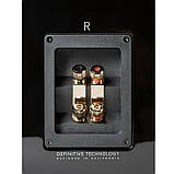 Definitive Technology Demand D9 Black, фото 6