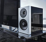 Definitive Technology Demand D7 Black, фото 6
