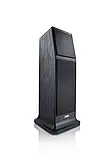 Canton Ergo GS Edition Black Oak, фото 3
