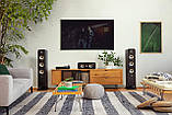 Polk Audio ES60 Black, фото 9