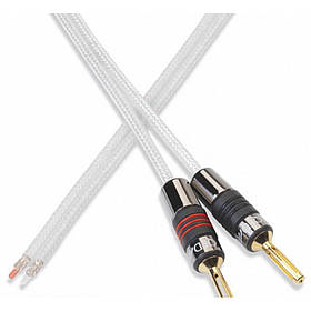 QED Silver Anniversary XT 100m