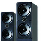 Q Acoustics 2050i Graphite, фото 4