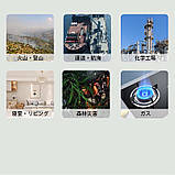 PROTMEX Прилад для перевірки оксиду вуглецю PTH-10D, фото 9