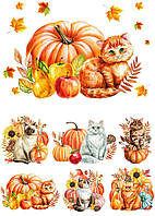 Декупажна карта DC VGT-