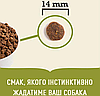 Acana (Акана)Singles Grass-Fed Lamb - гіпоалергенний корм для собак усіх порід та вікових груп 11.4кг, фото 4