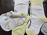 Носки дитячі 1-2 роки 2пари Lupilu р19-22, фото 3