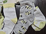 Носки дитячі 1-2 роки 2пари Lupilu р19-22, фото 2