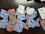 Носки дитячі 1-2 роки 2пари Lupilu р19-22, фото 3