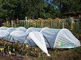 Парник міні теплиця для розсади Агро-Лідер 50 г/м2, 5 м (SHiz16449), фото 2
