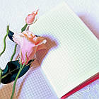 Блокнот в клітинку Астра В6 Сердечки 80 арк арт.ТО-5, фото 10