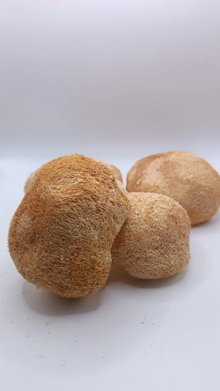 Їжовик гребінчастий , 100г.