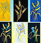 Футболка чорна Колоски 01.20.11, фото 10