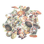 Наклейки "Гриби" 60 шт NKL067, фото 2