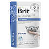 Brit (Брит) VetDiet Recovery - Корм вологий для відновлення харчування, регенерації для котів усіх порід з лососем 85 гр, фото 3
