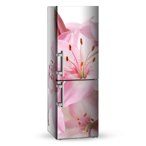 Самофіксуюча наклейка на холодильник магнітна 180 х 60 см Лицева