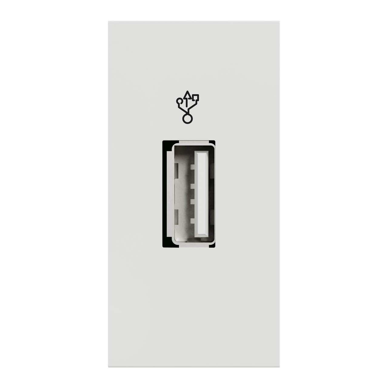 USB-коннектор 1 модуль білий