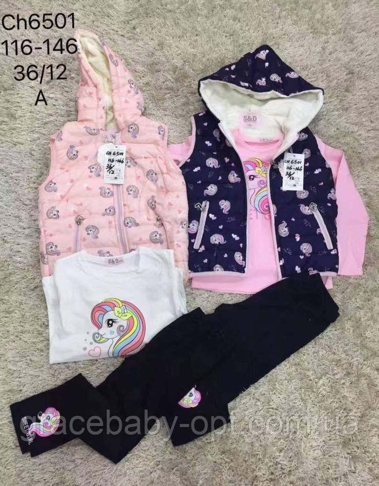 Костюм 3 в 1 для дівчат оптом, S&D, 116-146 рр., № CH-6501, фото 1