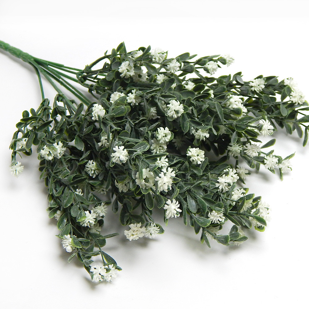 Кущ самшита з квіточками, декоративна зелень