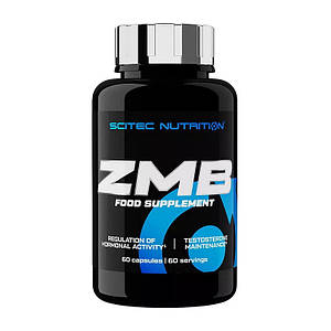 Цинк магній B6 Scitec Nutrition ZMB6 60 caps