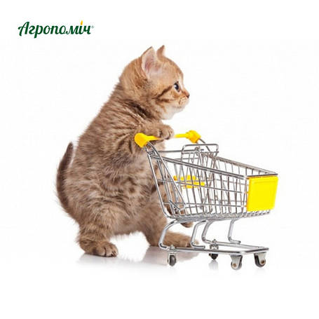 Домашні тварини та зоотовари