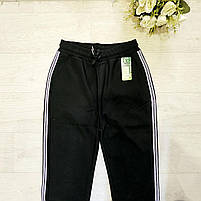 Спортивні штани жіночі оптом, 4XL-8XL pp,  № F-196, фото 2